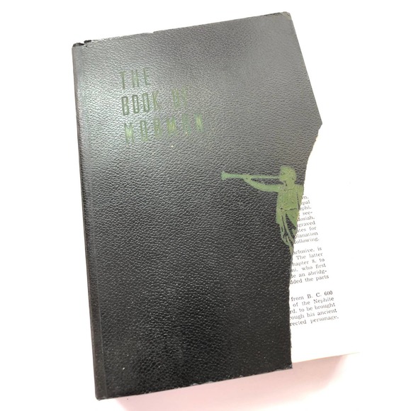 The Book of Mormon - Picture 4 of 4